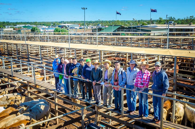 A group of people taking photo in the cattle ranch